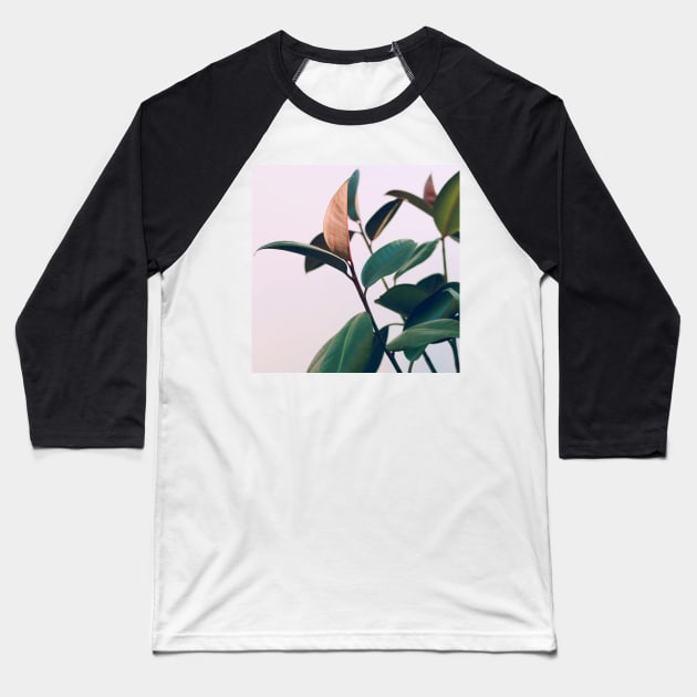 Ficus Elastica #4 Baseball T-Shirt by ALICIABOCK